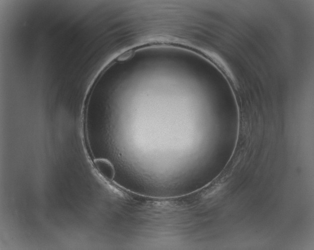 X0000073990903200608281311