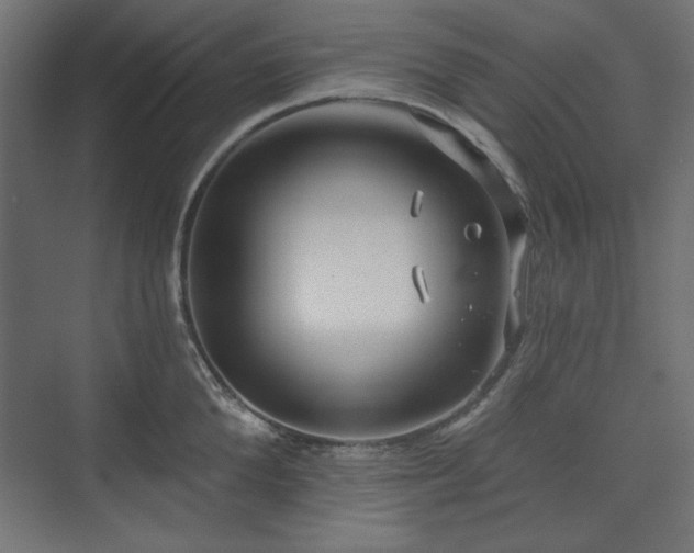 X0000073990904200608281311