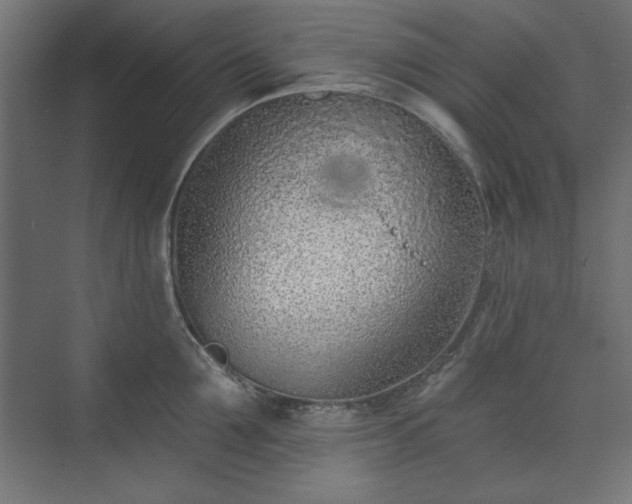 X0000073990907200608281311