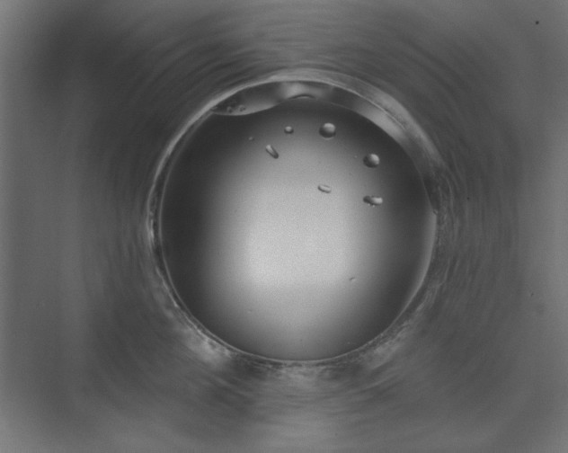 X0000073990908200608281311