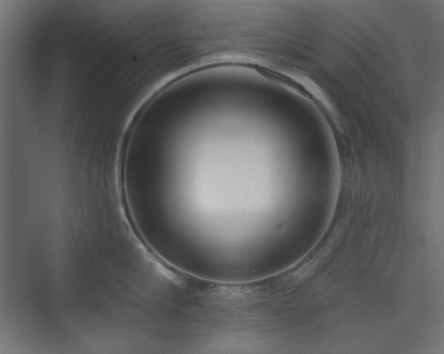 X0000073990910200608281310