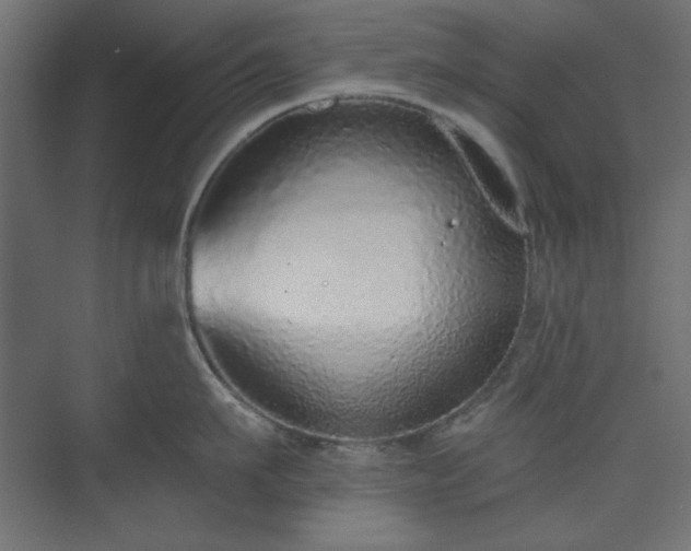 X0000073990911200608281310