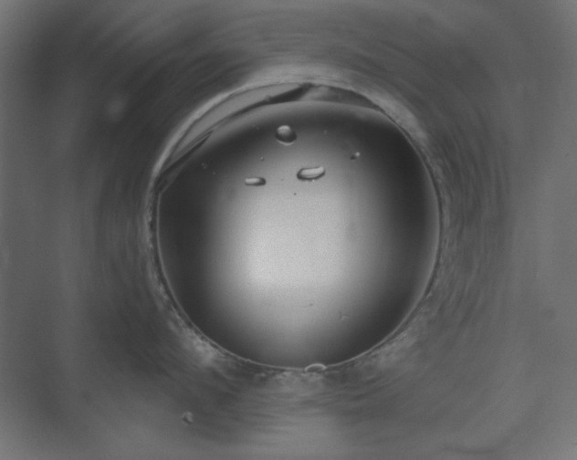 X0000073990912200608281310