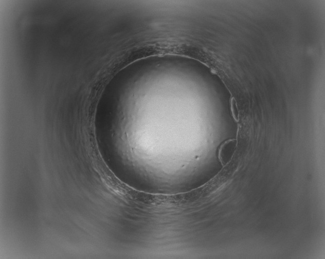 X0000073990913200608281310