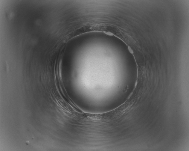 X0000073990914200608281310