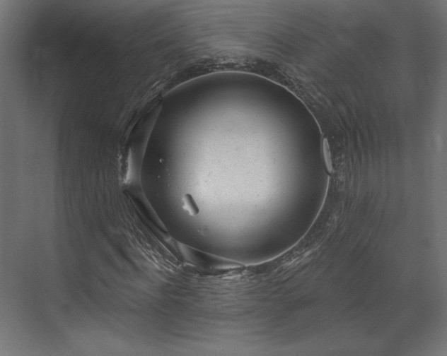 X0000073990916200608281310