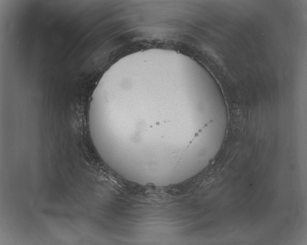 X0000073990918200608281310