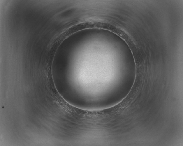 X0000073990919200608281310