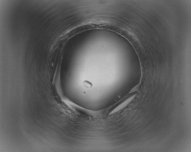 X0000073990920200608281310