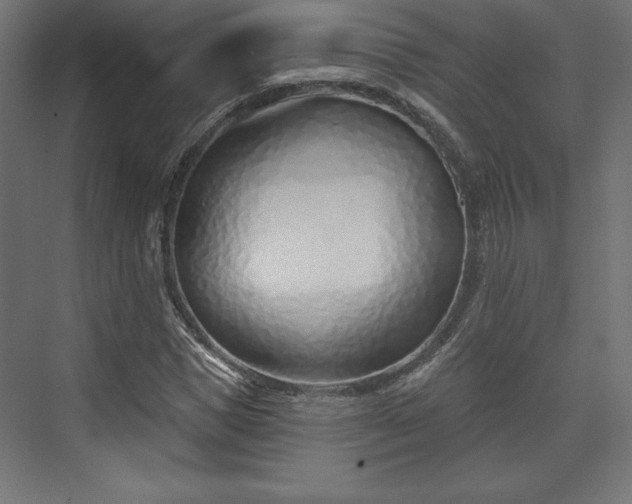 X0000073990921200608281310