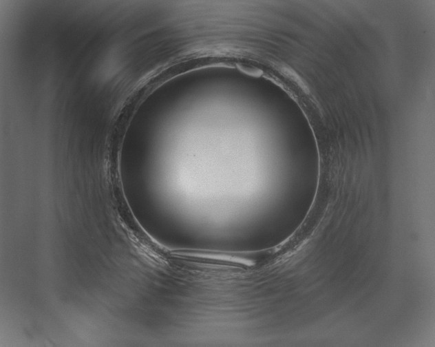 X0000073990922200608281310