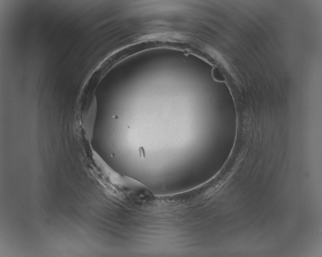 X0000073990923200608281310