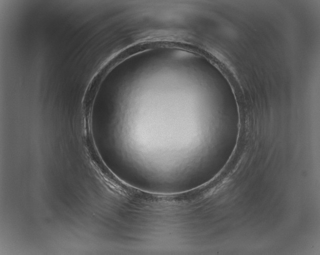 X0000073990925200608281310