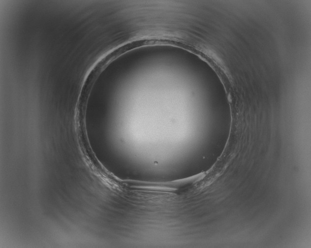 X0000073990928200608281310