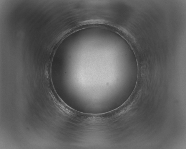 X0000073990929200608281310