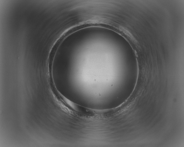 X0000073990934200608281310