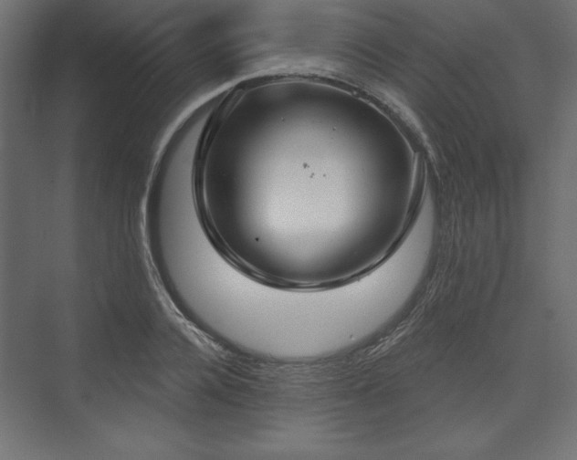 X0000073990936200608281310