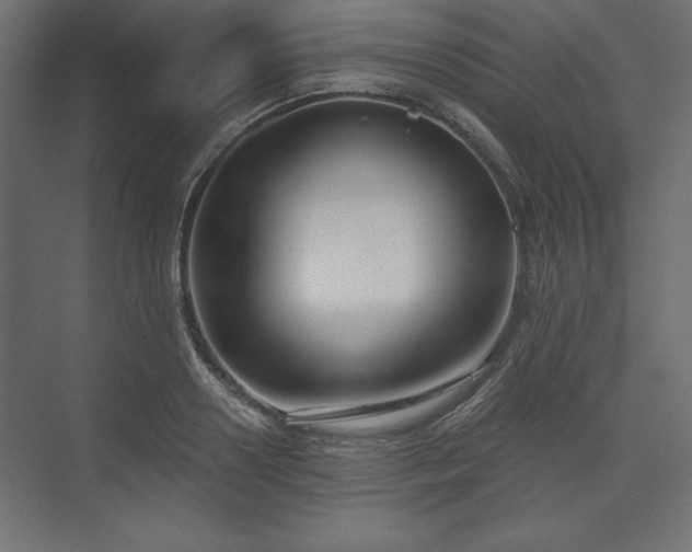 X0000073990938200608281310