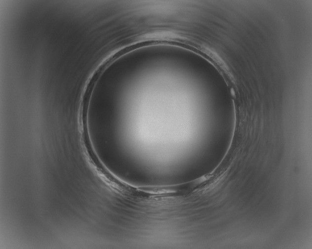 X0000073990939200608281310