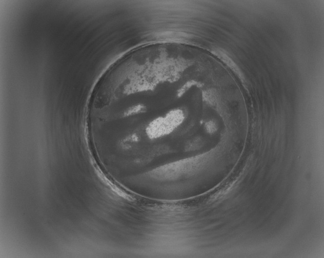 X0000073990941200608281310