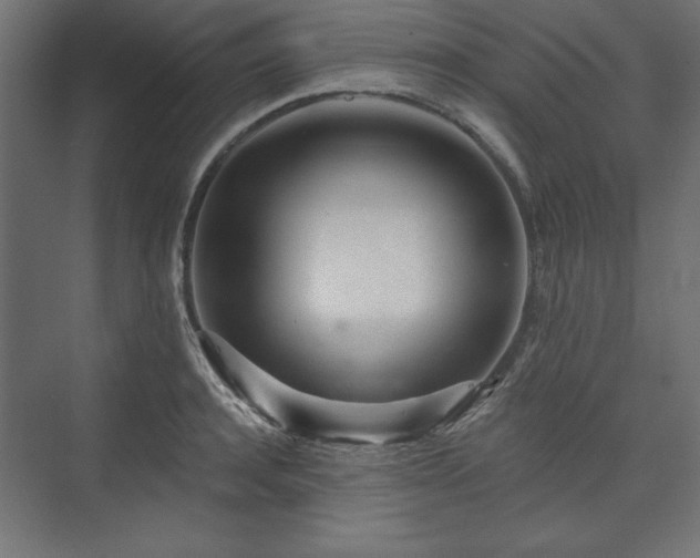 X0000073990944200608281310