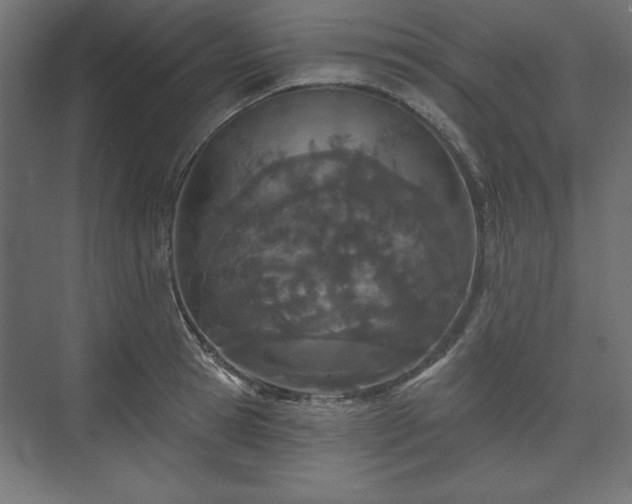 X0000073990945200608281310