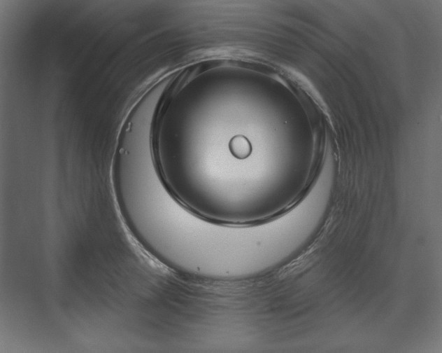 X0000073990946200608281310