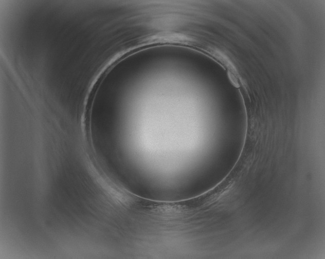 X0000073990947200608281310