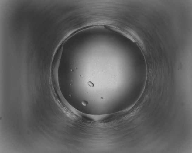 X0000073990948200608281310