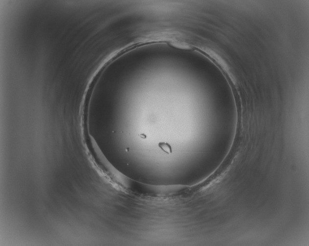 X0000073990949200608281310