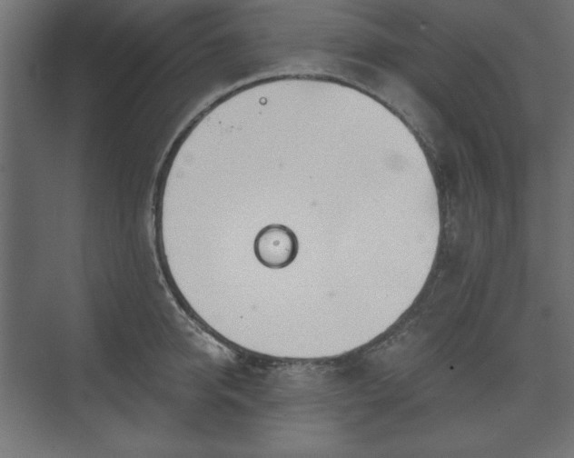 X0000073990950200608281310