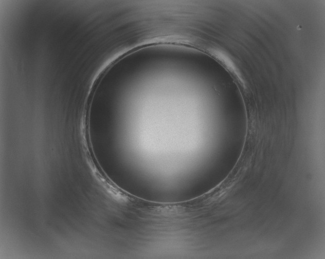 X0000073990952200608281310