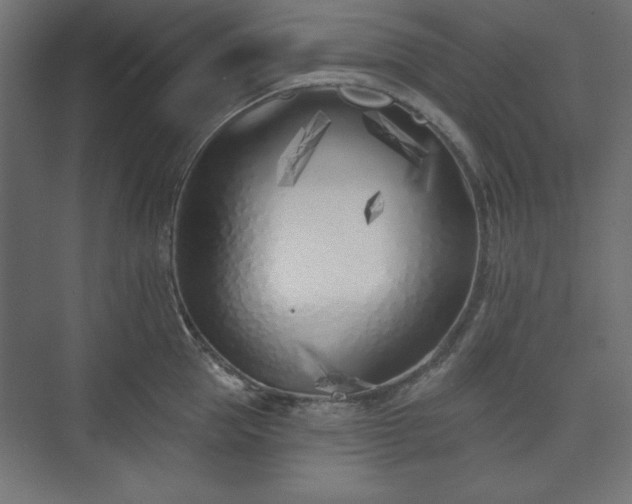 X0000073990953200608281310