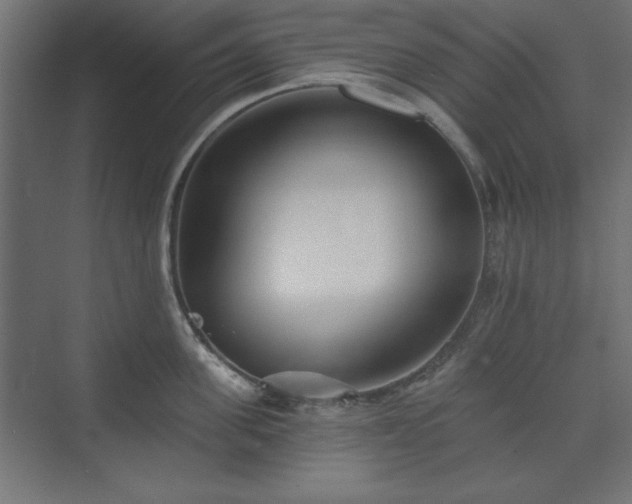 X0000073990955200608281310