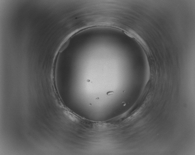 X0000073990956200608281310