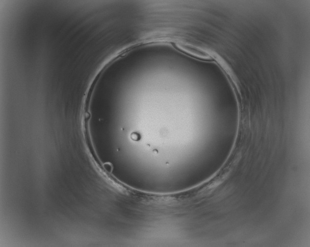 X0000073990957200608281310