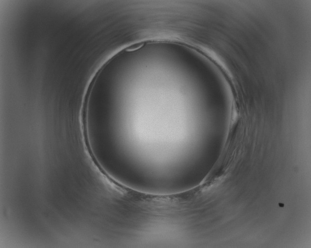 X0000073990959200608281310