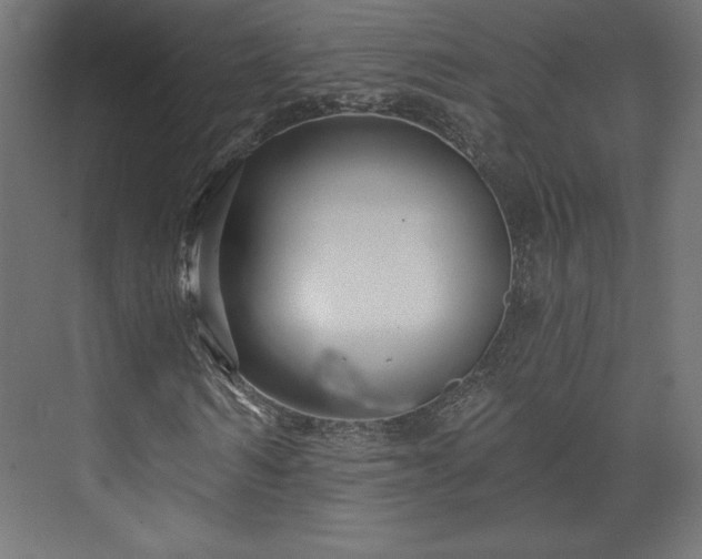 X0000073990962200608281310