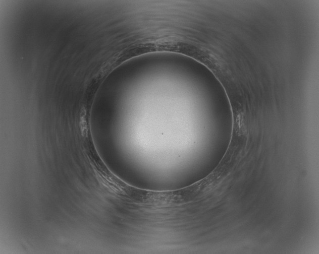 X0000073990963200608281310