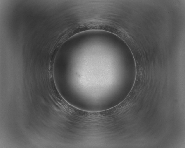 X0000073990964200608281310