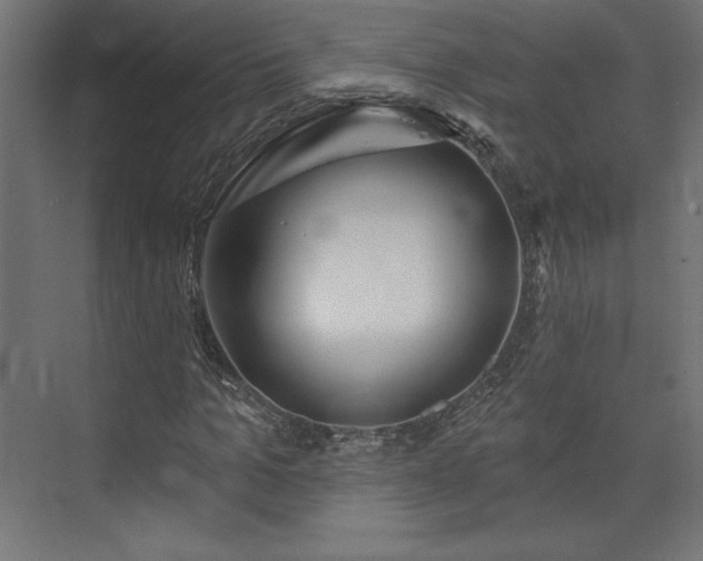 X0000073990965200608281310