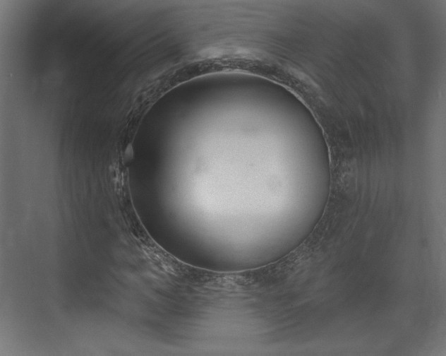 X0000073990966200608281310