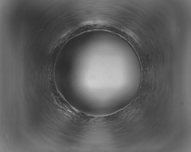 X0000073990967200608281310