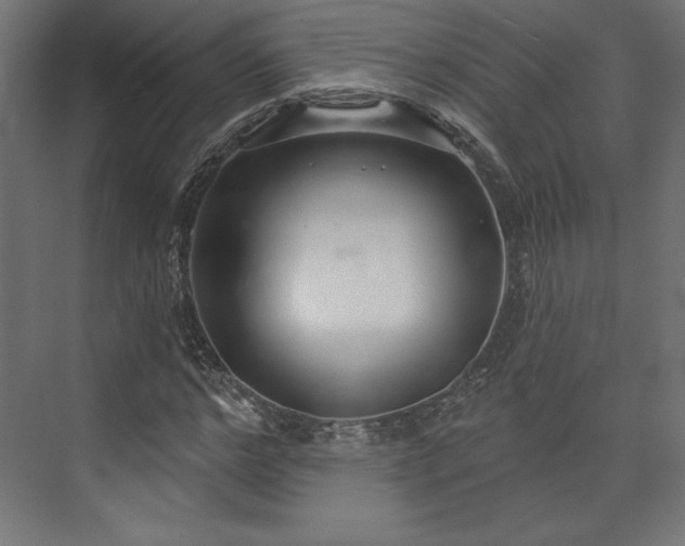 X0000073990968200608281309