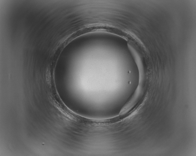 X0000073990969200608281309