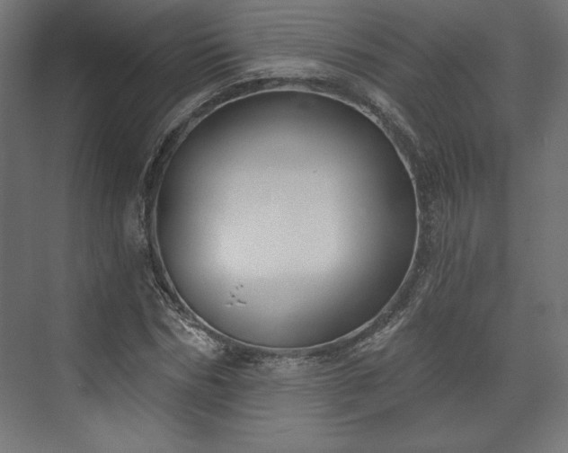 X0000073990970200608281309