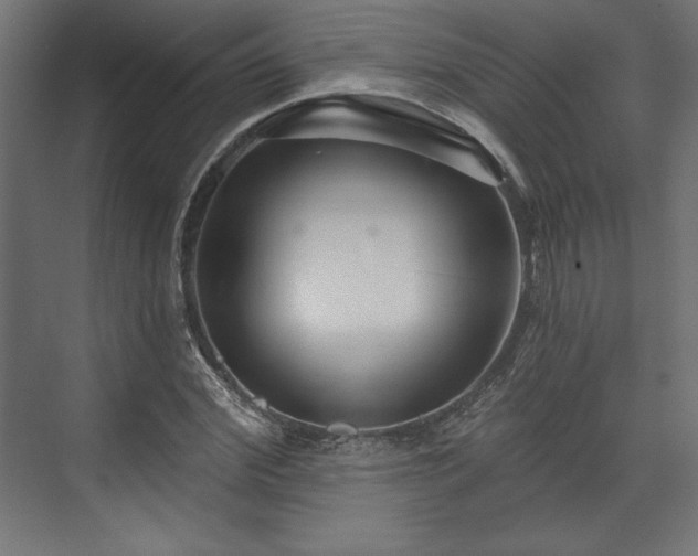 X0000073990972200608281309