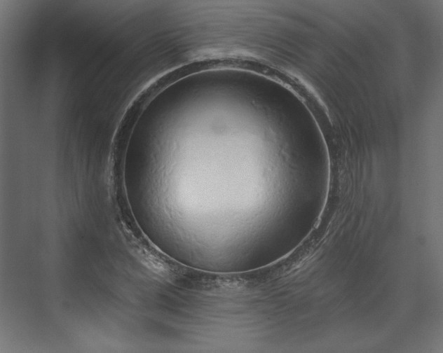 X0000073990975200608281309