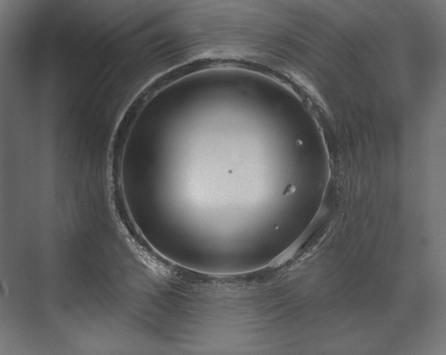 X0000073990976200608281309