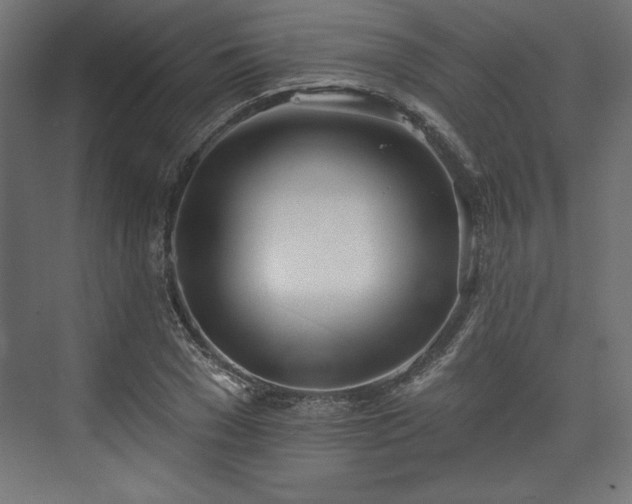 X0000073990977200608281309